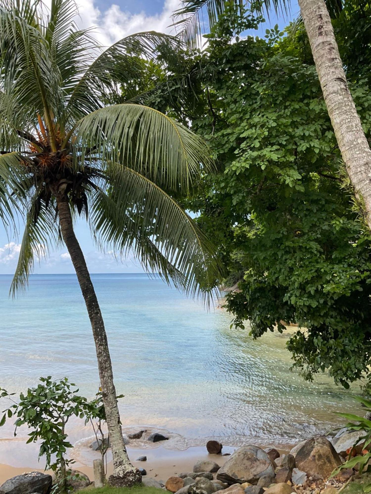 Abc Chalet Tioman Kampong Ayer Batang Exteriör bild