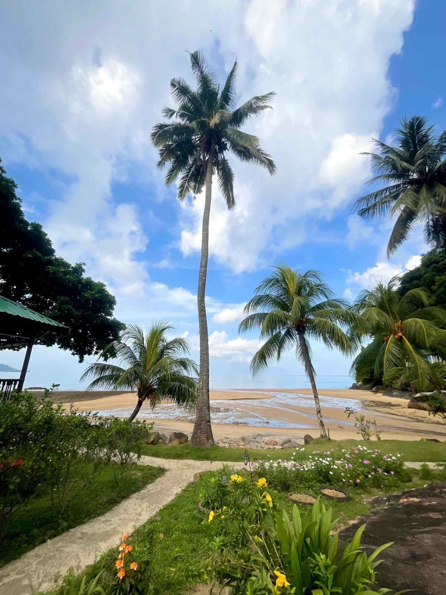 Abc Chalet Tioman Kampong Ayer Batang Exteriör bild