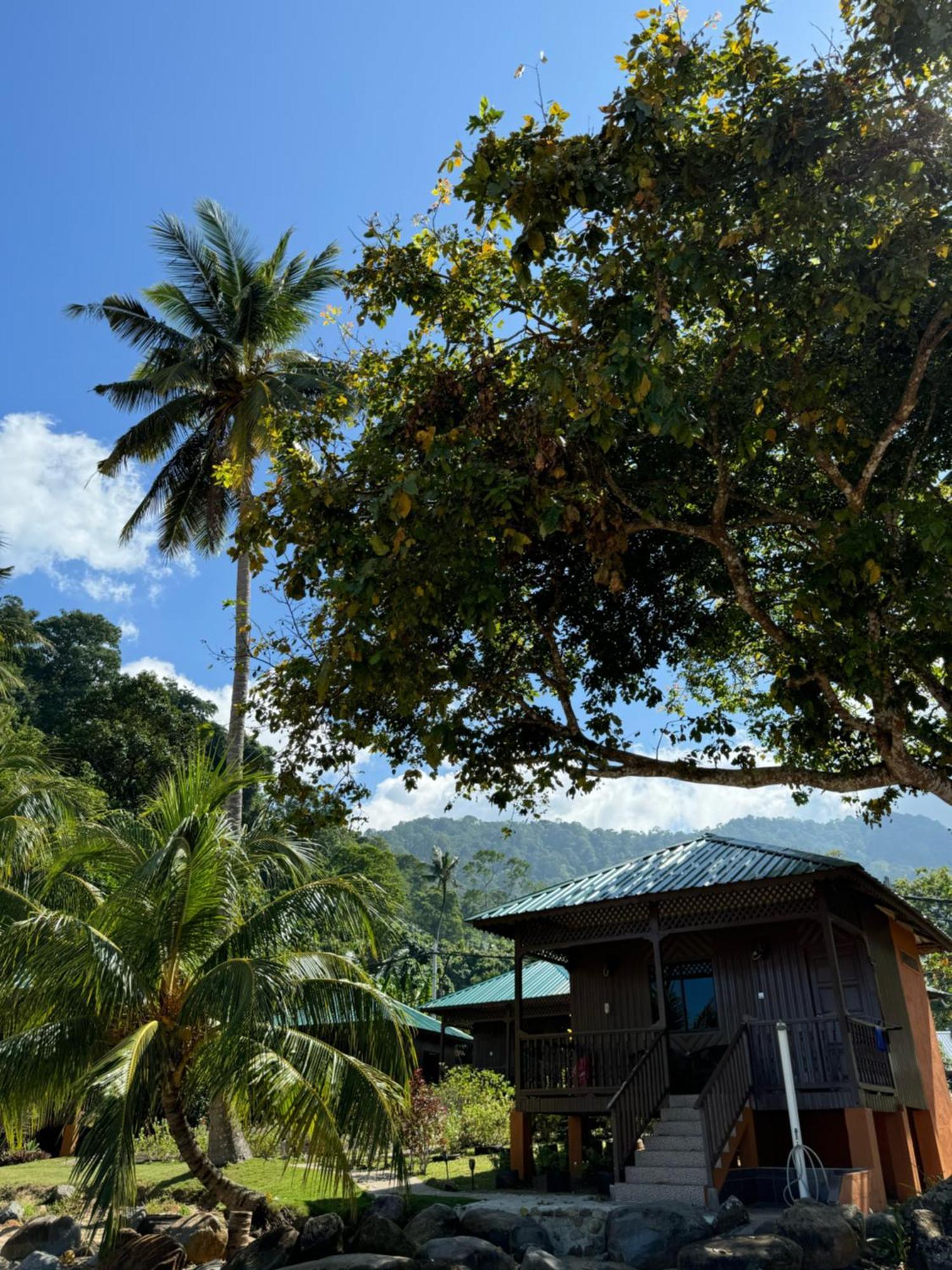 Abc Chalet Tioman Kampong Ayer Batang Exteriör bild