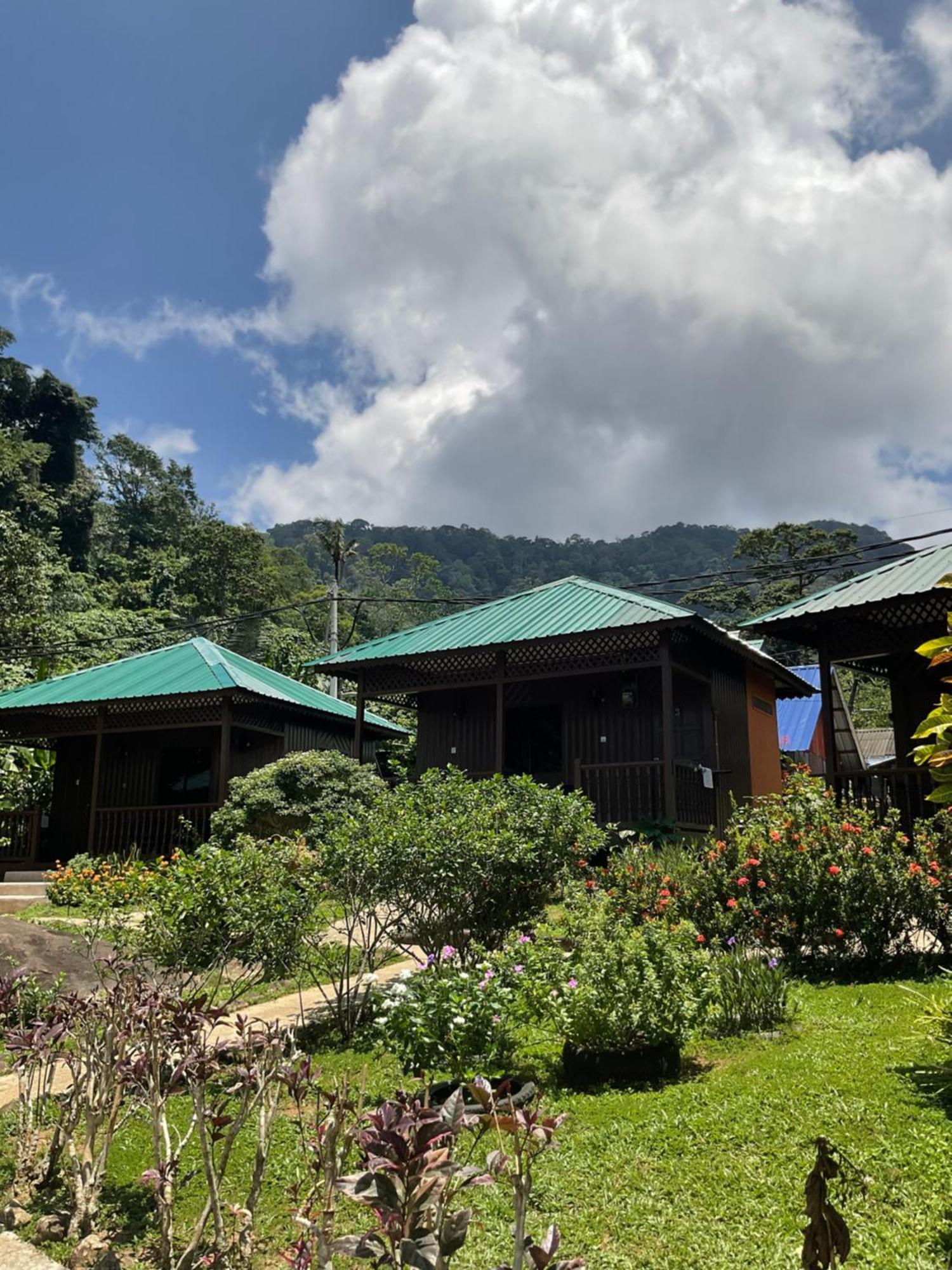 Abc Chalet Tioman Kampong Ayer Batang Exteriör bild